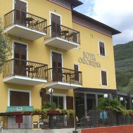Albergo Garni Orchidea ريفا ديل غاردا المظهر الخارجي الصورة